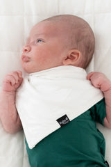 Bib in Cloud