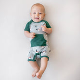 Shortall in Mallard Duck