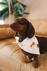Dog Bandana in Dachshund