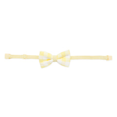 Bow Tie in Gingham Chamomile