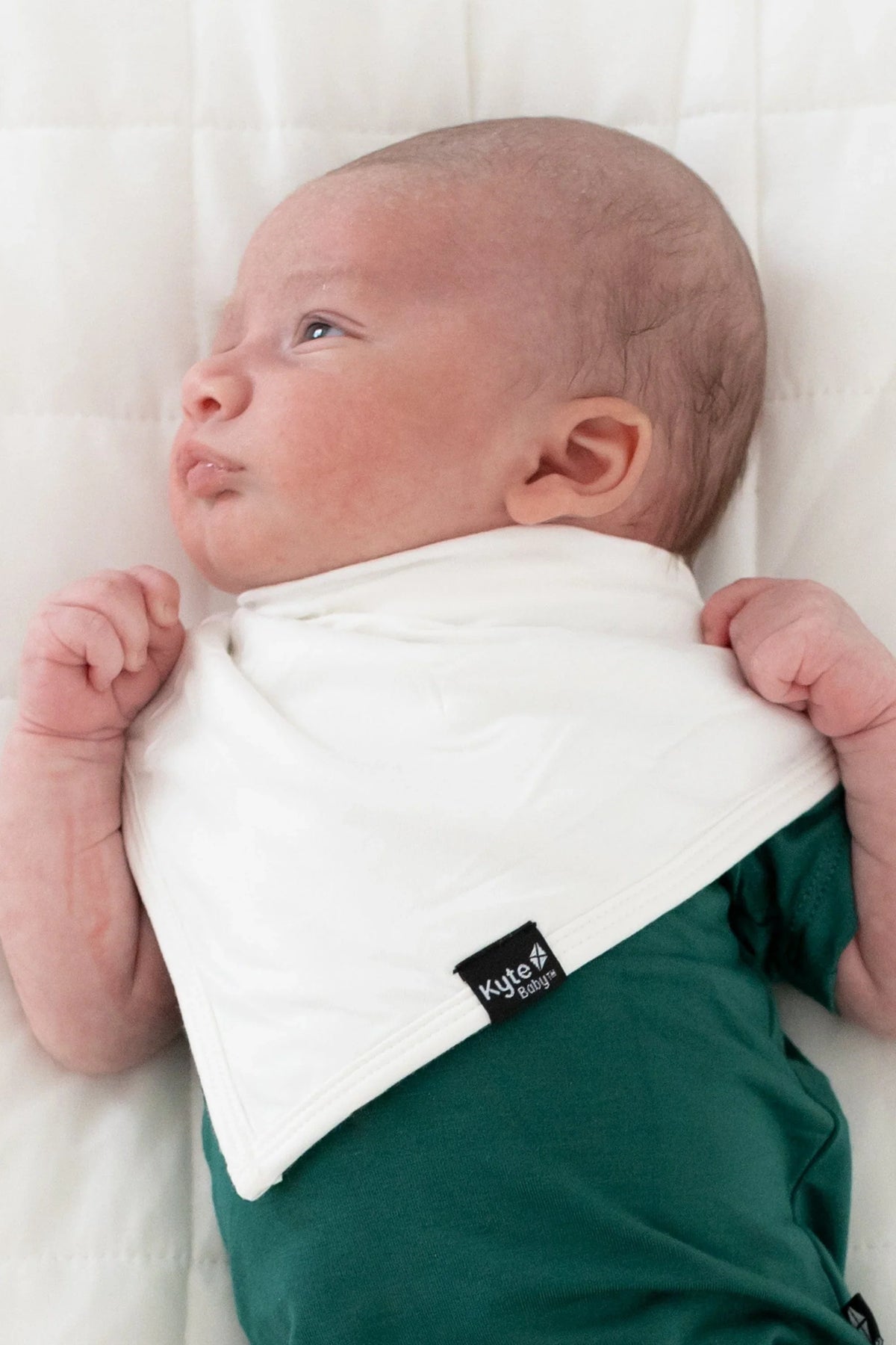 Bib in Cloud